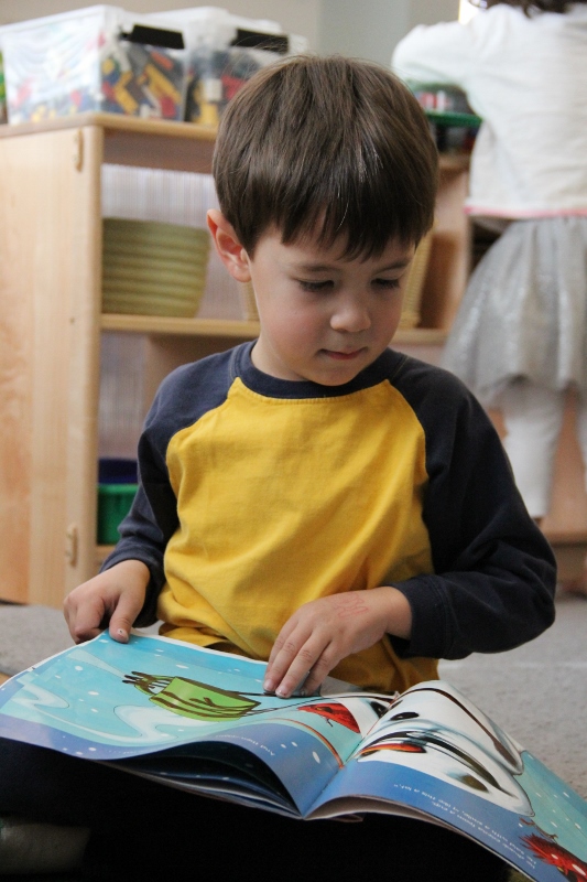 Raccoons and Dragonflies (4-6 years)